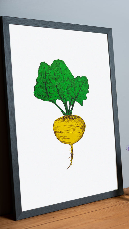 Golden Beet Vegetable Print (Seconds)